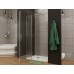 Allen Brau Priority Душевая дверь 100 см, цвет: хром 3.31004.00