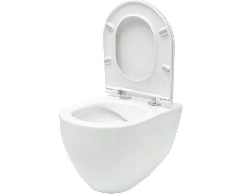 Allen Brau Reality Унитаз подесной с инсталляцией 36,5x53x40h см, цвет: белый 00316510