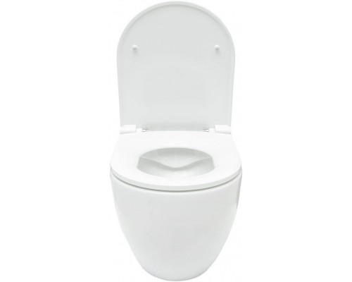 Allen Brau Reality Унитаз подесной с инсталляцией 36,5x53x40h см, цвет: белый 00316510