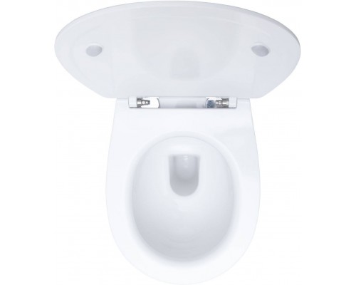 Allen Brau Fantasy Унитаз подесной с инсталляцией 36,3x51x36h см, цвет: белый 00316504 Allen Brau Fantasy Унитаз подесной с инсталляцией 36,3x51x36h см, цвет: белый 00316504