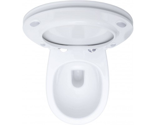 Allen Brau Fantasy Унитаз подесной с инсталляцией 36,3x51x36h см, цвет: белый 00316504 Allen Brau Fantasy Унитаз подесной с инсталляцией 36,3x51x36h см, цвет: белый 00316504