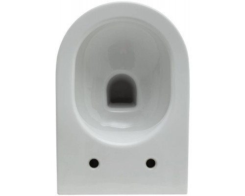Allen Brau Reality Унитаз подесной с инсталляцией 36,5x53x40h см, цвет: белый 00316510