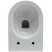 Allen Brau Reality Унитаз подесной с инсталляцией 36,5x53x40h см, цвет: белый 00316510