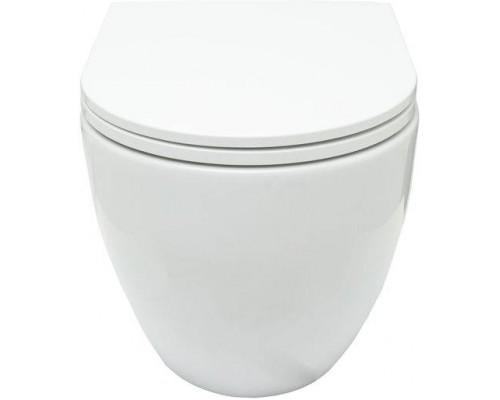 Allen Brau Reality Унитаз подесной с инсталляцией 36,5x53x40h см, цвет: белый 00316510