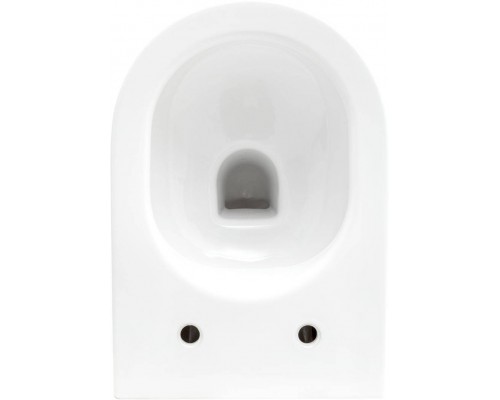 Allen Brau Reality Унитаз подесной с инсталляцией 36,5x53x40h см, цвет: белый 00316510