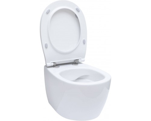 Allen Brau Fantasy Унитаз подесной с инсталляцией 36,3x51x36h см, цвет: белый 00316504 Allen Brau Fantasy Унитаз подесной с инсталляцией 36,3x51x36h см, цвет: белый 00316504