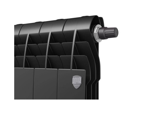 Радиатор Royal Thermo BiLiner 500 /Noir Sable VR - 10 секц.