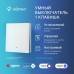 Комплект два умных одноклавишных выключателя и хаб Hommyn SW11HOMKIT04
