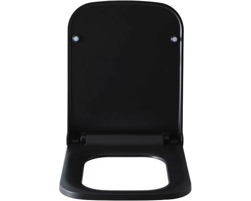 Allen Brau Infinity Крышка-сиденье для унитаза 36x44x4,5h см, цвет: черный 4.21014.31 Allen Brau Infinity Крышка-сиденье для унитаза 36x44x4,5h см, цвет: черный 4.21014.31