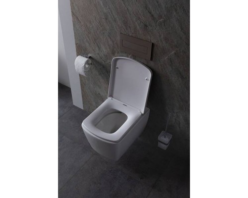 Allen Brau Liberty Чаша подвесного унитаза, цвет: белый 4.33004.20