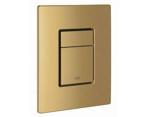 38732GN0 Skate Cosmopolitan Панель смыва для унитаза, холодный рассвет матовый (для Rapid SL и Uniset) 38732GN0