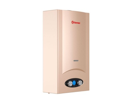 Газовая колонка Thermex G 20 D (Golden brown)