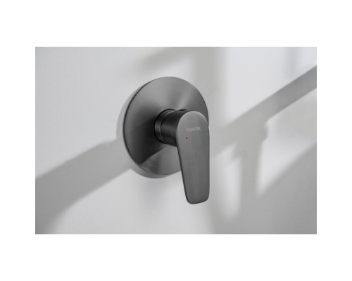 AQ1166BGM БЕТТА смеситель для душа 1 режим (внешняя и скрытая часть), оружейная сталь (шлиф. черный хром) AQ1166BGM