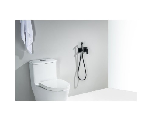 AQ1220MB ОБЕРОН комплект для гигиенического душа встроенный 2 отв. (смеситель + гигиеническая лейка + шланг), матовый черный AQ1220MB