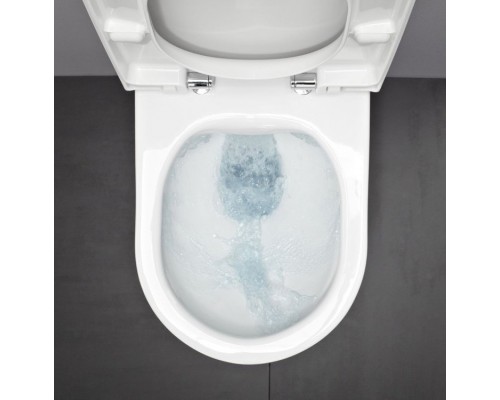 8.2080.2.000.000.1 PALOMBA Подвесной унитаз, безободковый 8.2080.2.000.000.1