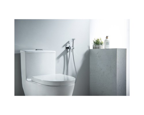 AQ1021CR ЕВРОПА комплект для гигиенического душа встроенный (смеситель + гигиеническая лейка + шланг) AQ1021CR