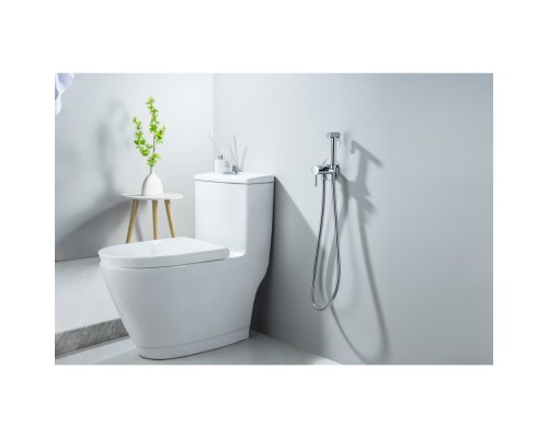 AQ1021CR ЕВРОПА комплект для гигиенического душа встроенный (смеситель + гигиеническая лейка + шланг) AQ1021CR