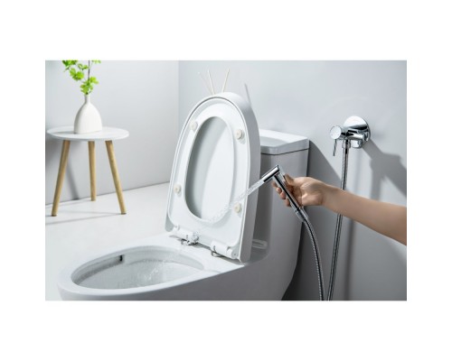 AQ1021CR ЕВРОПА комплект для гигиенического душа встроенный (смеситель + гигиеническая лейка + шланг) AQ1021CR