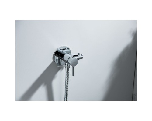 AQ1021CR ЕВРОПА комплект для гигиенического душа встроенный (смеситель + гигиеническая лейка + шланг) AQ1021CR