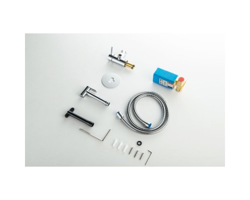 AQ1021CR ЕВРОПА комплект для гигиенического душа встроенный (смеситель + гигиеническая лейка + шланг) AQ1021CR