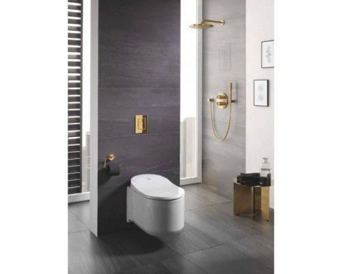 38732GN0 Skate Cosmopolitan Панель смыва для унитаза, холодный рассвет матовый (для Rapid SL и Uniset) 38732GN0