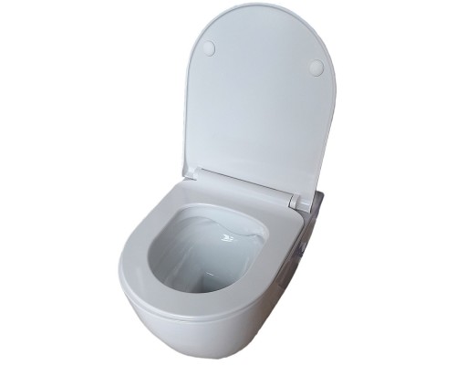 AQ0700-01 ПОЛАРИС унитаз подвесной безободковый, белый 360518360 мм, крышка-сиденье с механизмом плавного закрывания из дюропласта, крепеж AQ0700-01