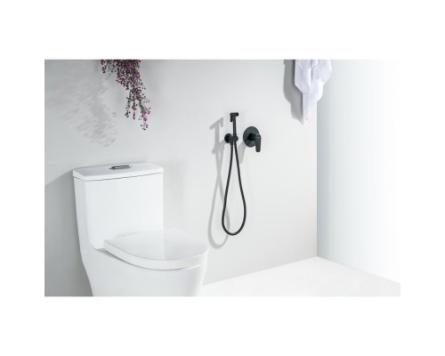 AQ1119MB БЕТТА набор с гигиеническим душем (смеситель + гигиеническая лейка + шланг + шланговое подсоединение с держателем), матовый черный AQ1119MB