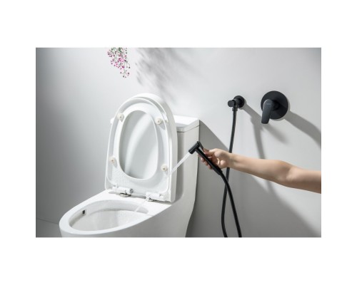 AQ1119MB БЕТТА набор с гигиеническим душем (смеситель + гигиеническая лейка + шланг + шланговое подсоединение с держателем), матовый черный AQ1119MB