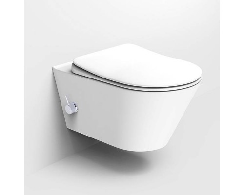 Boheme Avva Унитаз подвесной 35,5х53х32h см, цвет: matt white 972-2-MW Boheme Avva Унитаз подвесной 35,5х53х32h см, цвет: matt white 972-2-MW