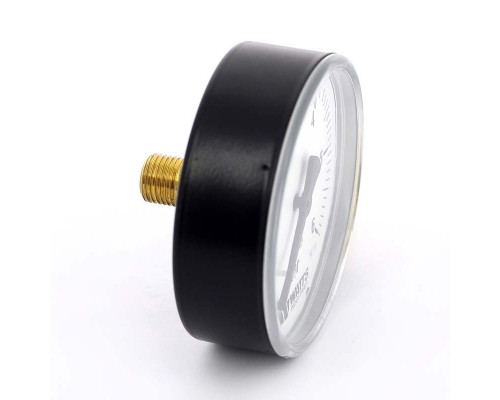 Манометр аксиальный F+R100 WATTS Ind 1/4" 80 мм 6 бар