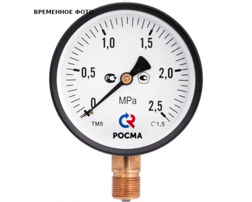 Манометр ТМ-510Р.00 радиальный Дк100мм 0-0,06 МПа кл.1,5 G1/2"