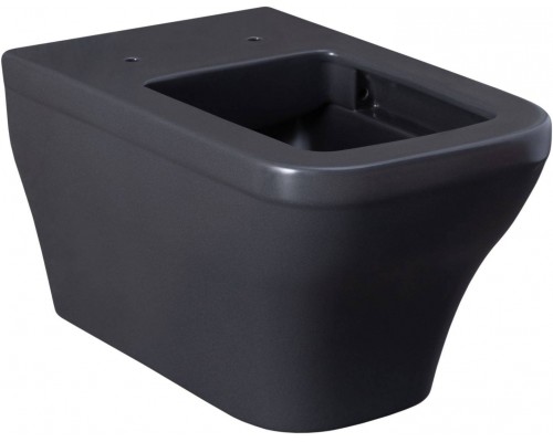 Allen Brau Infinity Чаша для подвесного унитаза 34x53,5x35,5h см, цвет: серый 4.21011.AN Allen Brau Infinity Чаша для подвесного унитаза 34x53,5x35,5h см, цвет: серый 4.21011.AN