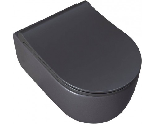Allen Brau Priority Чаша для подвесного унитаза 36x49x33h см, цвет: серый 4.31002.AN Allen Brau Priority Чаша для подвесного унитаза 36x49x33h см, цвет: серый 4.31002.AN
