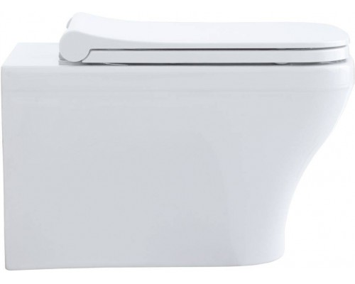 Allen Brau Infinity Унитаз подесной с инсталляцией 34x53,5x35,5h см, цвет: белый 00316506