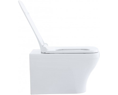Allen Brau Infinity Унитаз подесной с инсталляцией 34x53,5x35,5h см, цвет: белый 00316506