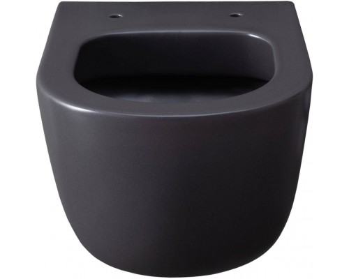 Allen Brau Priority Чаша для подвесного унитаза 36x49x33h см, цвет: серый 4.31002.AN Allen Brau Priority Чаша для подвесного унитаза 36x49x33h см, цвет: серый 4.31002.AN
