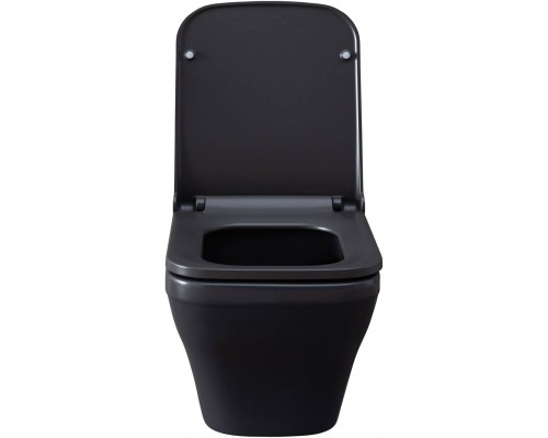 Allen Brau Infinity Чаша для подвесного унитаза 34x53,5x35,5h см, цвет: серый 4.21011.AN Allen Brau Infinity Чаша для подвесного унитаза 34x53,5x35,5h см, цвет: серый 4.21011.AN
