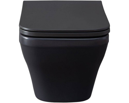 Allen Brau Infinity Чаша для подвесного унитаза 34x53,5x35,5h см, цвет: серый 4.21011.AN Allen Brau Infinity Чаша для подвесного унитаза 34x53,5x35,5h см, цвет: серый 4.21011.AN