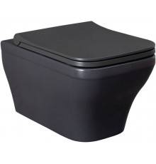 Allen Brau Infinity Чаша для подвесного унитаза 34x53,5x35,5h см, цвет: серый 4.21011.AN