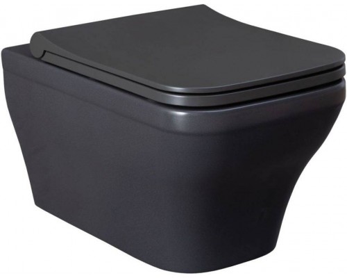 Allen Brau Infinity Чаша для подвесного унитаза 34x53,5x35,5h см, цвет: серый 4.21011.AN Allen Brau Infinity Чаша для подвесного унитаза 34x53,5x35,5h см, цвет: серый 4.21011.AN