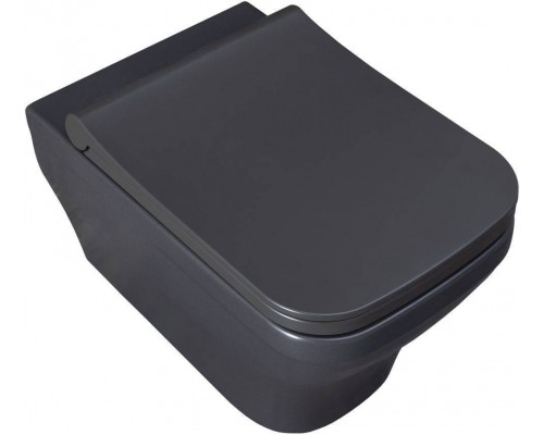 Allen Brau Infinity Чаша для подвесного унитаза 34x53,5x35,5h см, цвет: серый 4.21011.AN Allen Brau Infinity Чаша для подвесного унитаза 34x53,5x35,5h см, цвет: серый 4.21011.AN