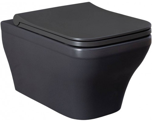Allen Brau Infinity Чаша для подвесного унитаза 34x53,5x35,5h см, цвет: серый 4.21011.AN Allen Brau Infinity Чаша для подвесного унитаза 34x53,5x35,5h см, цвет: серый 4.21011.AN