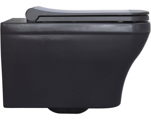 Allen Brau Infinity Чаша для подвесного унитаза 34x53,5x35,5h см, цвет: серый 4.21011.AN Allen Brau Infinity Чаша для подвесного унитаза 34x53,5x35,5h см, цвет: серый 4.21011.AN