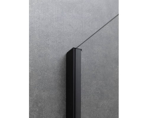Allen Brau Priority Душевая дверь 160x200h см, цвет проф: черный, стекло прозрачное 8 мм 3.31039.BBA Allen Brau Priority Душевая дверь 160x200h см, цвет проф: черный, стекло прозрачное 8 мм 3.31039.BBA