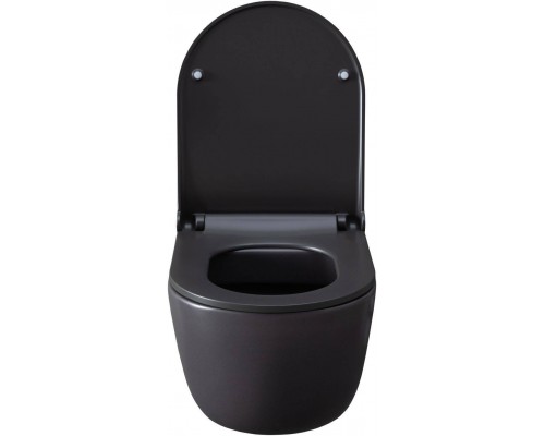 Allen Brau Priority Чаша для подвесного унитаза 36x49x33h см, цвет: серый 4.31002.AN Allen Brau Priority Чаша для подвесного унитаза 36x49x33h см, цвет: серый 4.31002.AN