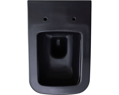 Allen Brau Infinity Чаша для подвесного унитаза 34x53,5x35,5h см, цвет: серый 4.21011.AN Allen Brau Infinity Чаша для подвесного унитаза 34x53,5x35,5h см, цвет: серый 4.21011.AN