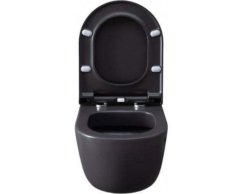 Allen Brau Priority Чаша для подвесного унитаза 36x49x33h см, цвет: серый 4.31002.AN Allen Brau Priority Чаша для подвесного унитаза 36x49x33h см, цвет: серый 4.31002.AN