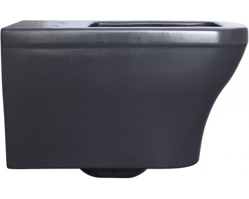 Allen Brau Infinity Чаша для подвесного унитаза 34x53,5x35,5h см, цвет: серый 4.21011.AN Allen Brau Infinity Чаша для подвесного унитаза 34x53,5x35,5h см, цвет: серый 4.21011.AN