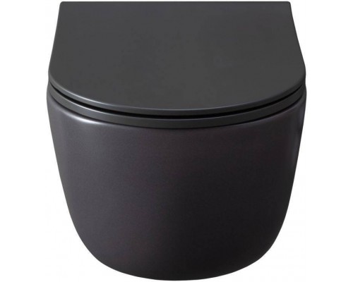 Allen Brau Priority Чаша для подвесного унитаза 36x49x33h см, цвет: серый 4.31002.AN Allen Brau Priority Чаша для подвесного унитаза 36x49x33h см, цвет: серый 4.31002.AN