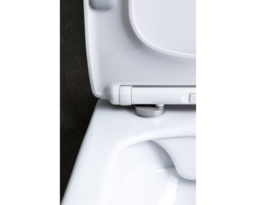 Allen Brau Liberty Унитаз подвесной 37x45x41,5h см, цвет: белый 4.33007.20